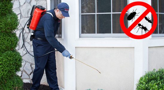 Lüleburgaz Gümüşkurt İlaçlama böcek ilaçlama ve haşere kontrolü — ilaclama-tr.com